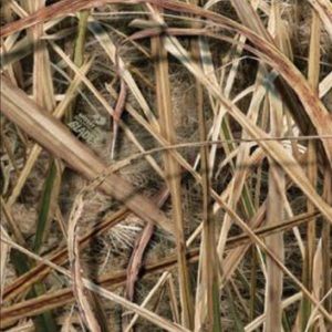 Meet your Posher, Summer